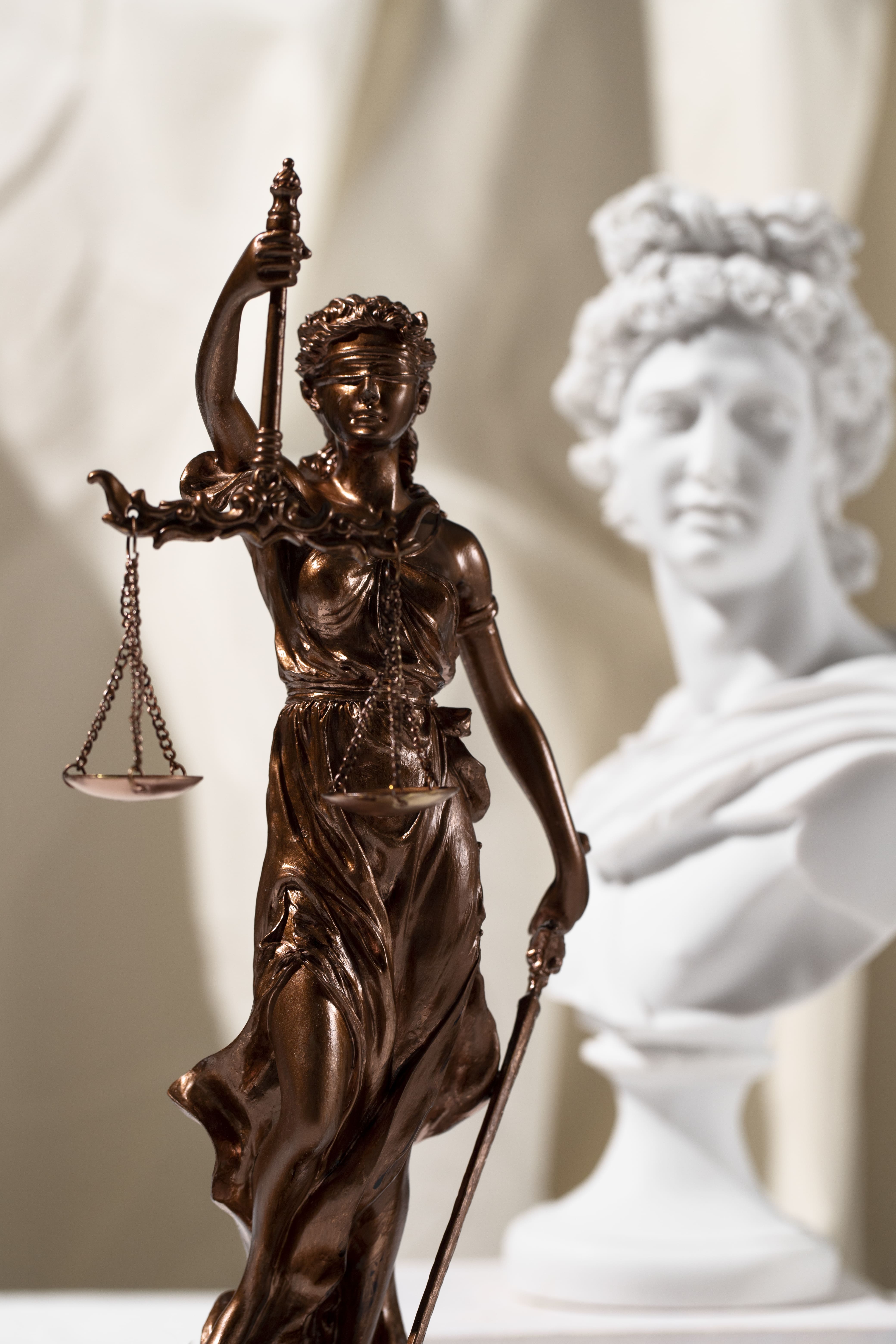 Professional lawyer in office setting